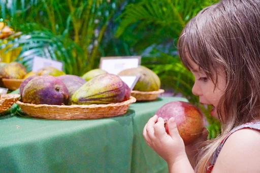 Don't Miss the Mango-nificent Festival at Fairchild Garden!