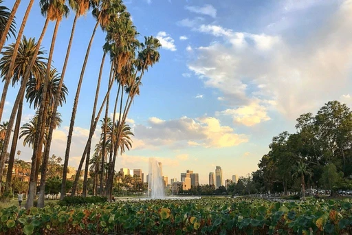 Let's Celebrate Echo Park's Lotus Festival! 🌸