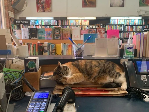 Small World Books is a great spot to escape the crowds on Venice Beach Boardwalk!
Perhaps not the go-to activity for beachgoers, but definitely a worthwhile one — this thing to do in Venice, Los Angeles is a must.
Take your time browsing through the large selection of books in every genre. Don’t hesitate to consult the well-read staff for help when you can’t seem to pick out a book (we’ve all been there). Looking for an awesome souvenir to take home? Pick up a title from the local author’s selection right at the front of the store.