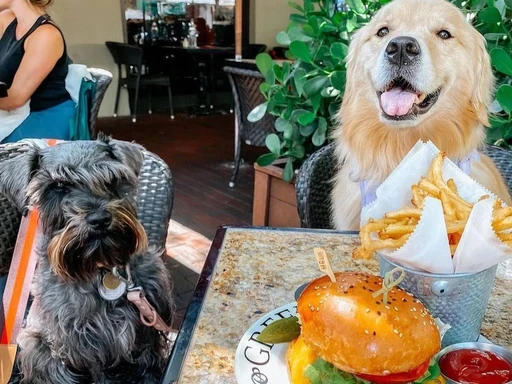 Bringing Furry Friends to Weekend Brunch at GreenStreet Cafe!