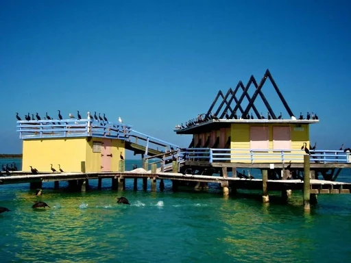 Discover the Magic of Stiltsville on a Key Biscayne Sunset Cruise! 🌅🚤