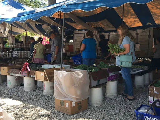 Check out the Coconut Grove Farmers' Market! 🌽🍅🥭