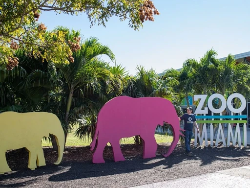 Discover the Exciting Zoo Miami Farmers Market!