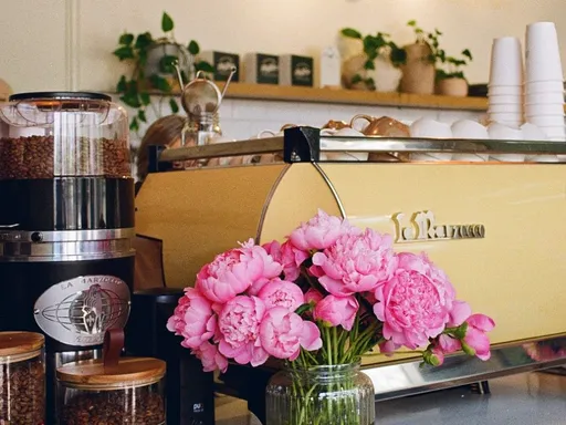 Discover a Hidden Gem: Magdalena Coffee & Houseplants in Edgewater!