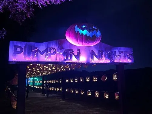 Join the Fun at Pumpkin Nights - A Magical Fall Adventure!