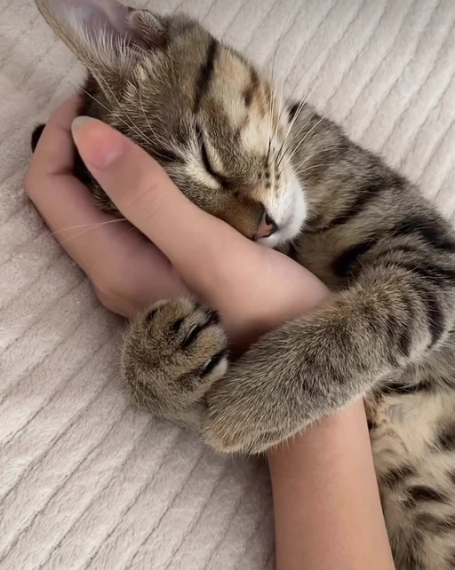 can't wait to see my Luna
your best pet??