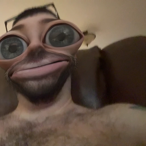 Snap filters