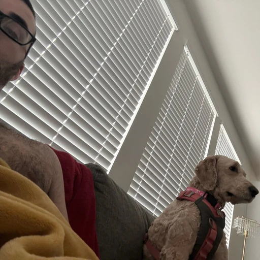 My dog was watching a movie with us