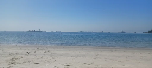 🏖️👙🌅👒🐕