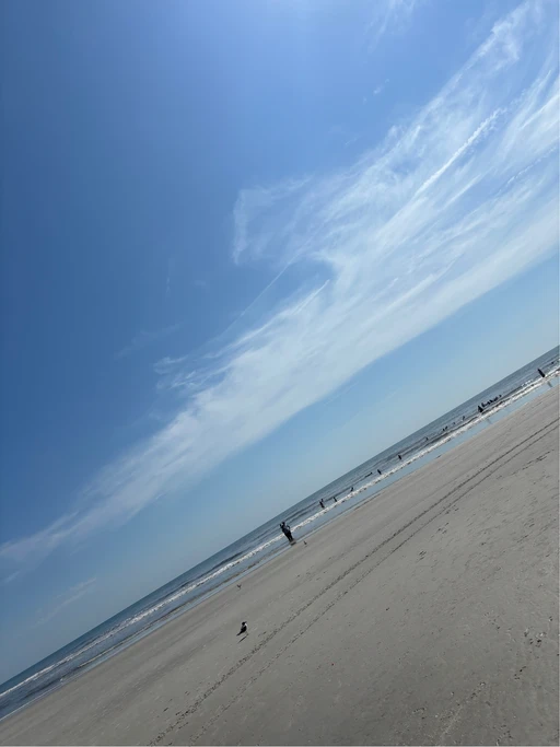 Late post it was nice yesterday