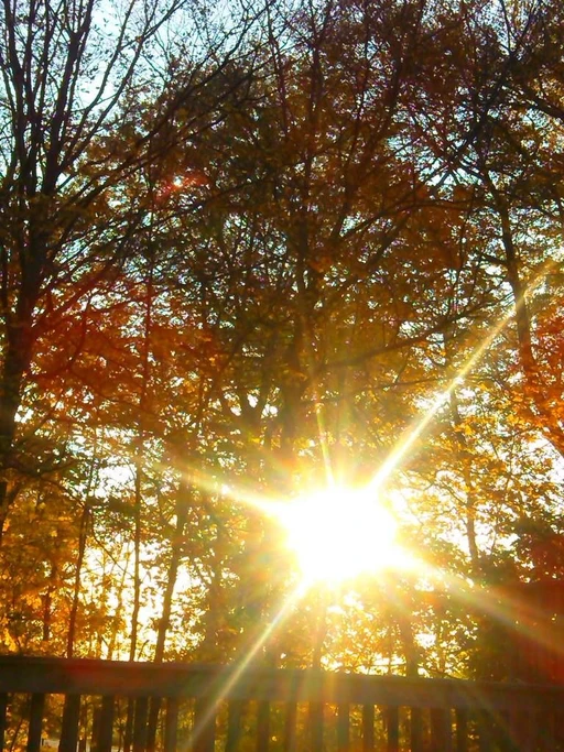 Nice day