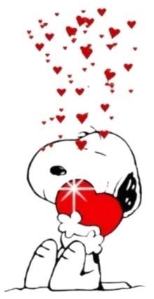 hey lady's I'm single and free