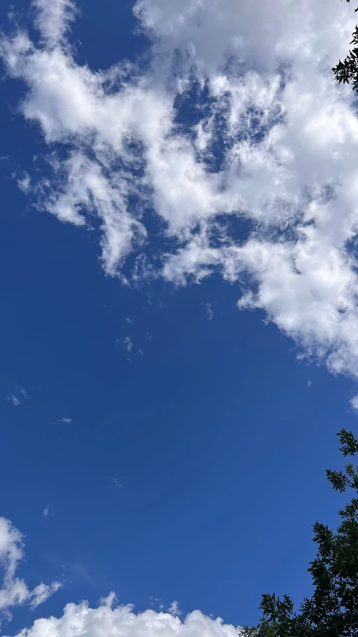 Lots of questions out there that one can’t find answers to throughout the entire life time. But it’s ok. If you don’t know what to do, just put your hands up and look at the sky.
