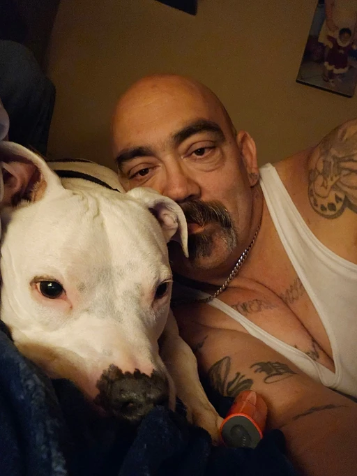 Pitbull lover