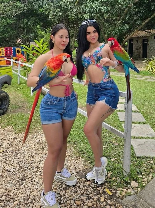 Which pair would you rather take home โ these parrots or these girls?