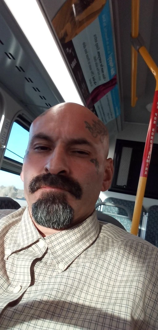 if I had a morning wood would you ride it?