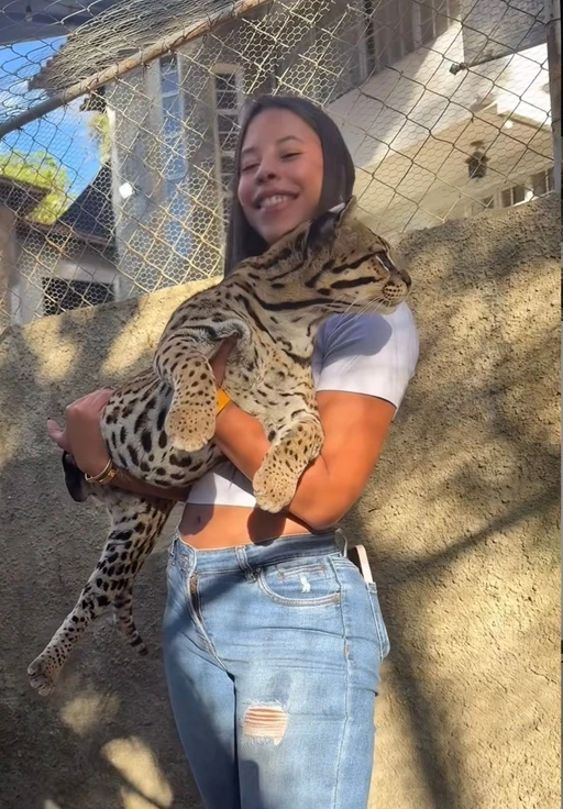 Holding a leopard but trust me, I bite harder 😏🐆 Who’s brave enough to test me?