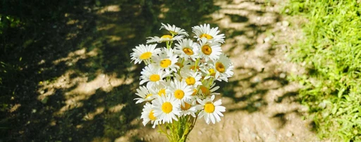Beautiful day βΊοΈ