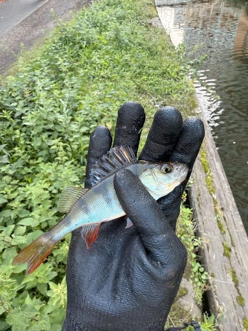 Looking for someone who also likes fishing to do some fishing together