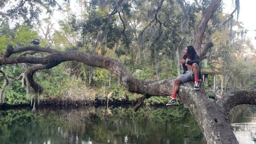 voice of the trees