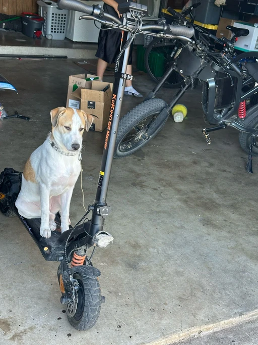 Someone wants a night ride. Any tag along on the bike want go?