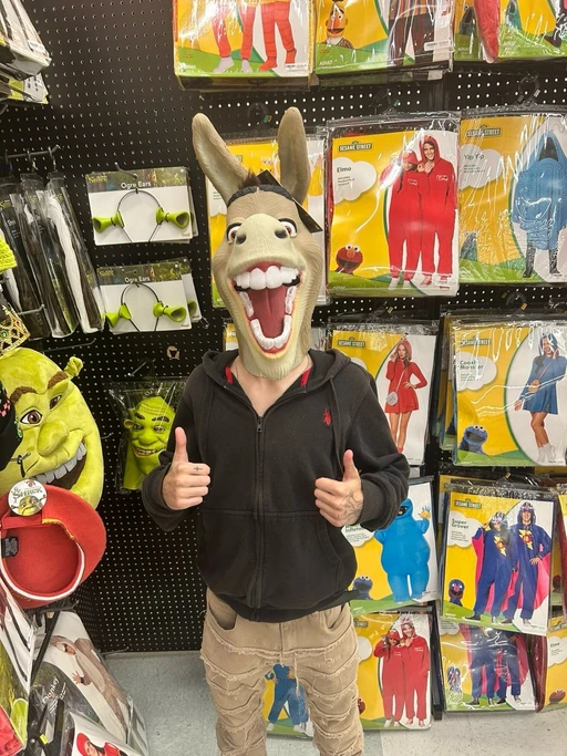 Donkey