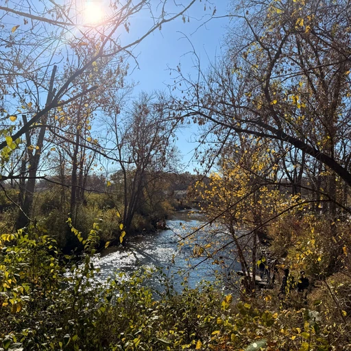 Bare naked fall colors