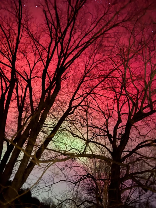 did anyone else see the wild auroras last night?