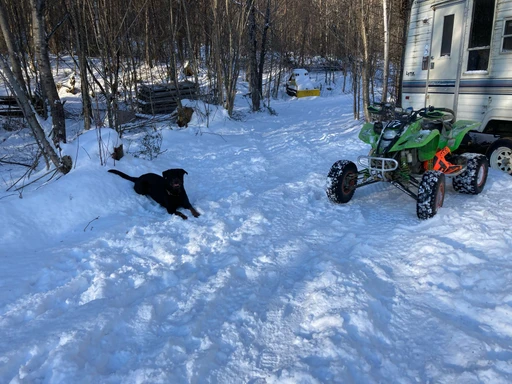 Bonne hivers as tous