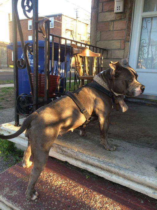 RIP MY 1 ONLY MOST LOYALIST FEMALE EVER... ESPECIALLY UP TIL THIS DAY!!! π―πͺπΎππ₯ππ