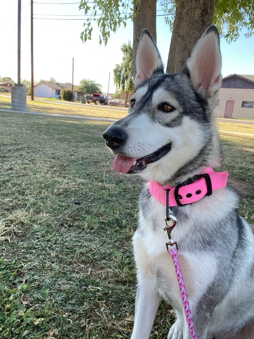 Le encanta ir al parque