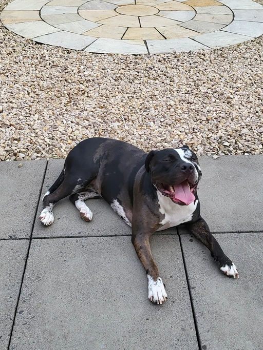 Is this app even legit 😂