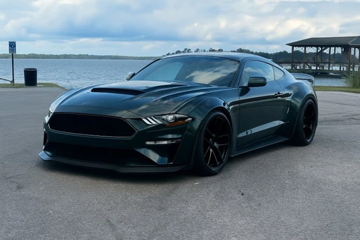 Review: how are the mods on my car? Aggressive? And no, I don’t hit crowds lol