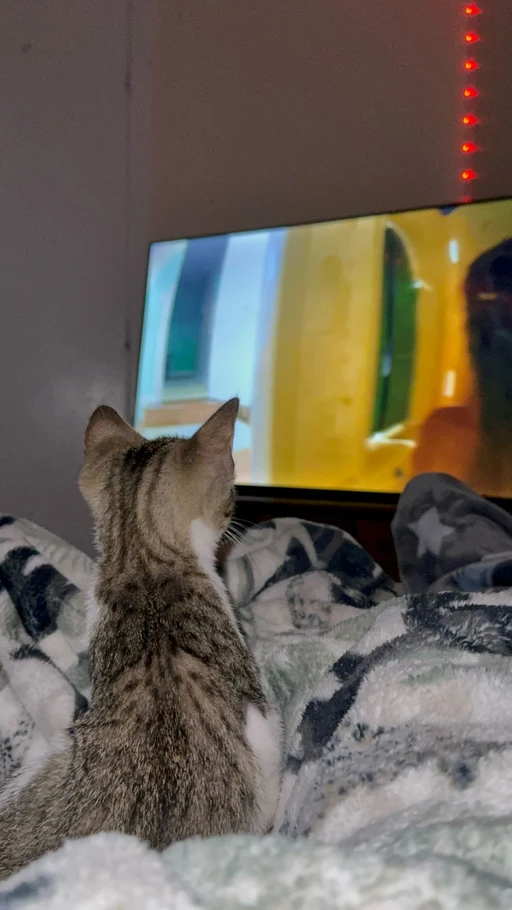 A little peace in this photo.