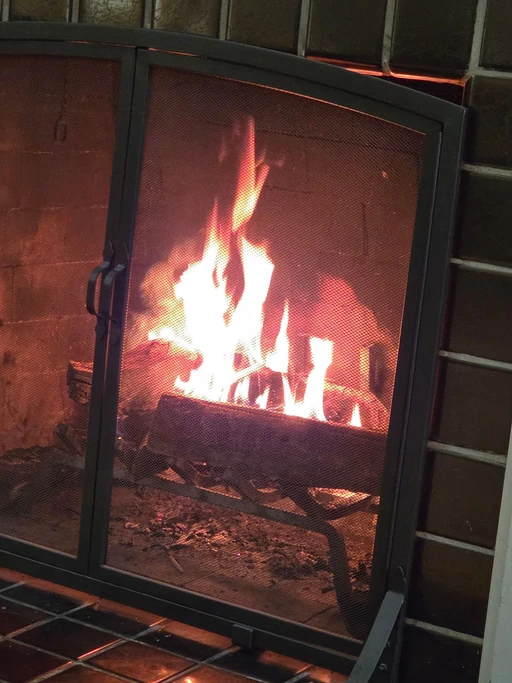 First fire of the year