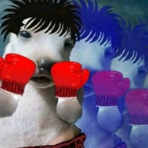 Happy thanksgiving yall, hope yall have a great day!