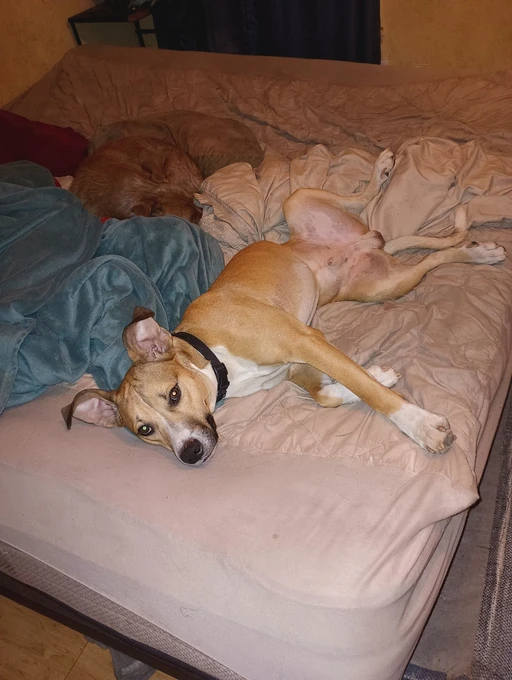 awesome show great job