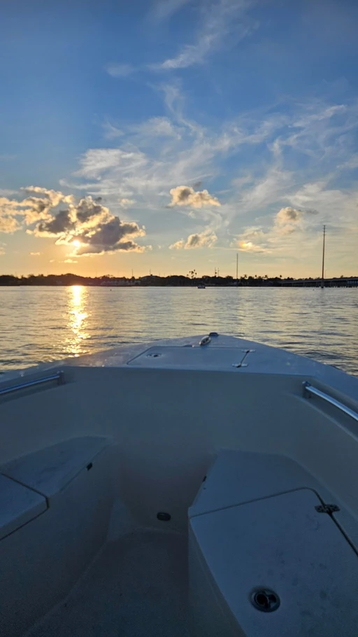 new to the area anyone want to hangout?