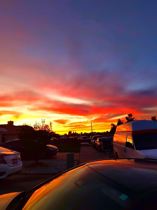 who can I watch the sunset with ?🎴