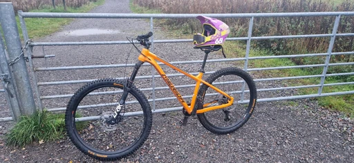 rate my bike out 10 10 being the best and 1 being the worst