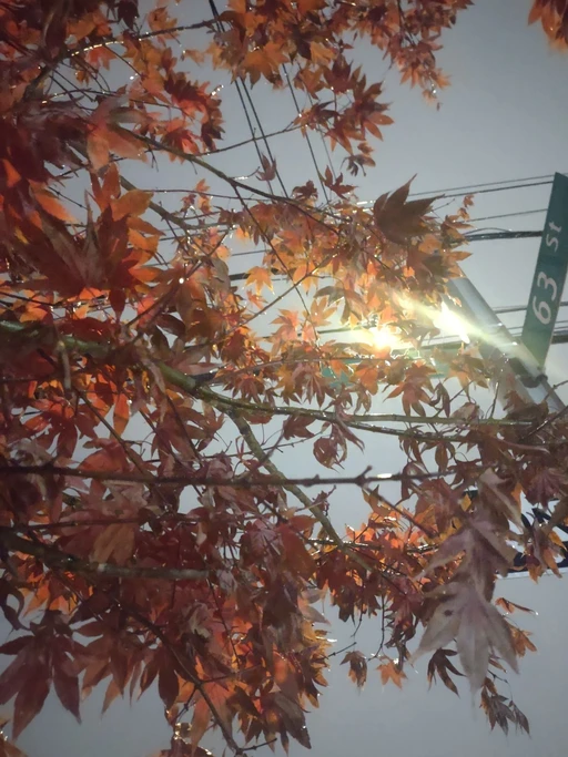 love admiring the beauty of the surrounding area especially during a nice rainy day and the lights add a lot of flavor to a photo