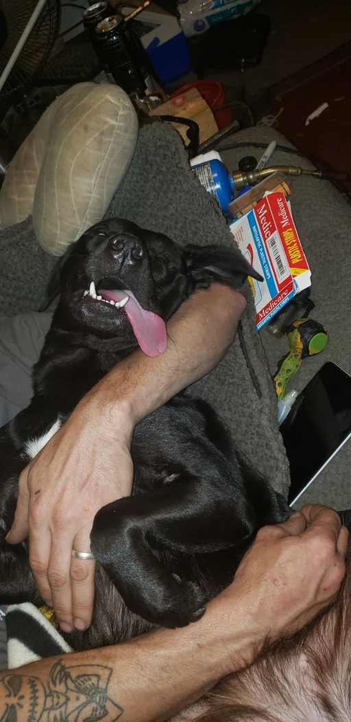 shes so out of it i can't even remember what wore her out something to do with hunting im sure