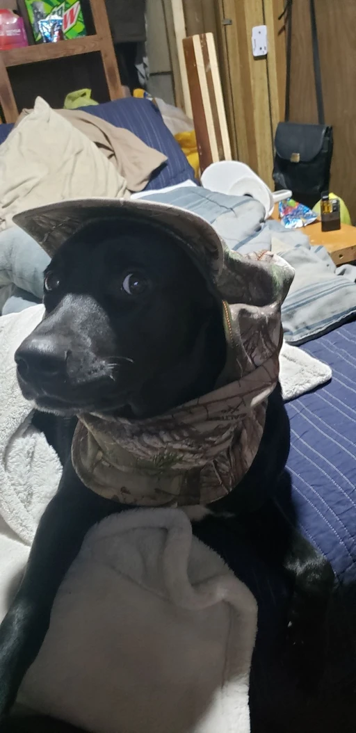 so yeah she's my darling lil gurl so today she thought it would be cute to bring me my hunting mask trying to hint around like I don't know she wants to go hunting lol