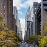 Avatar nycityworld