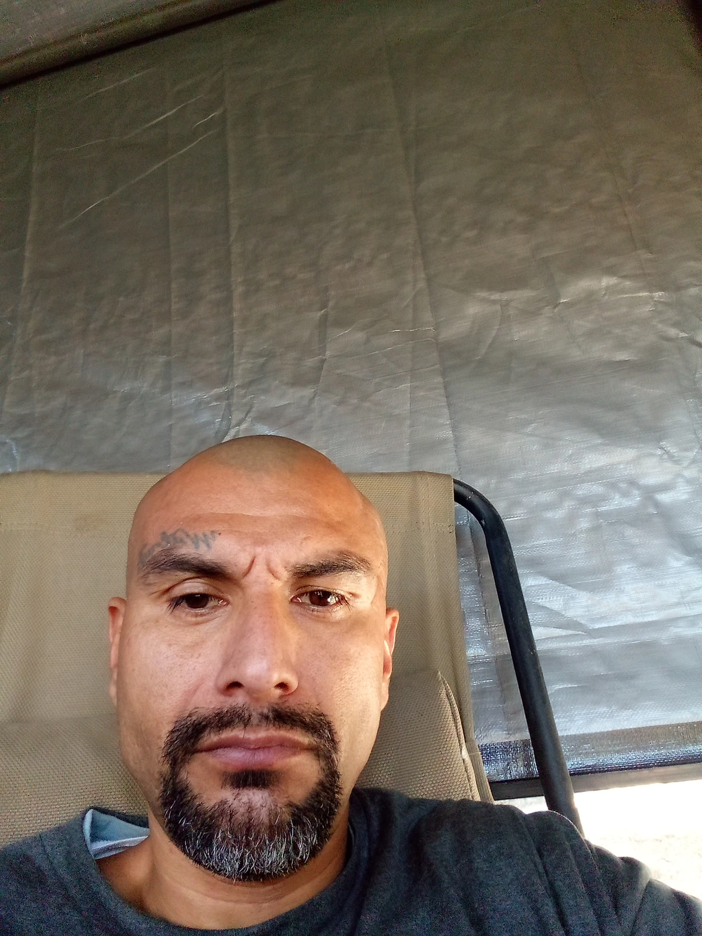 Albert Hernandez