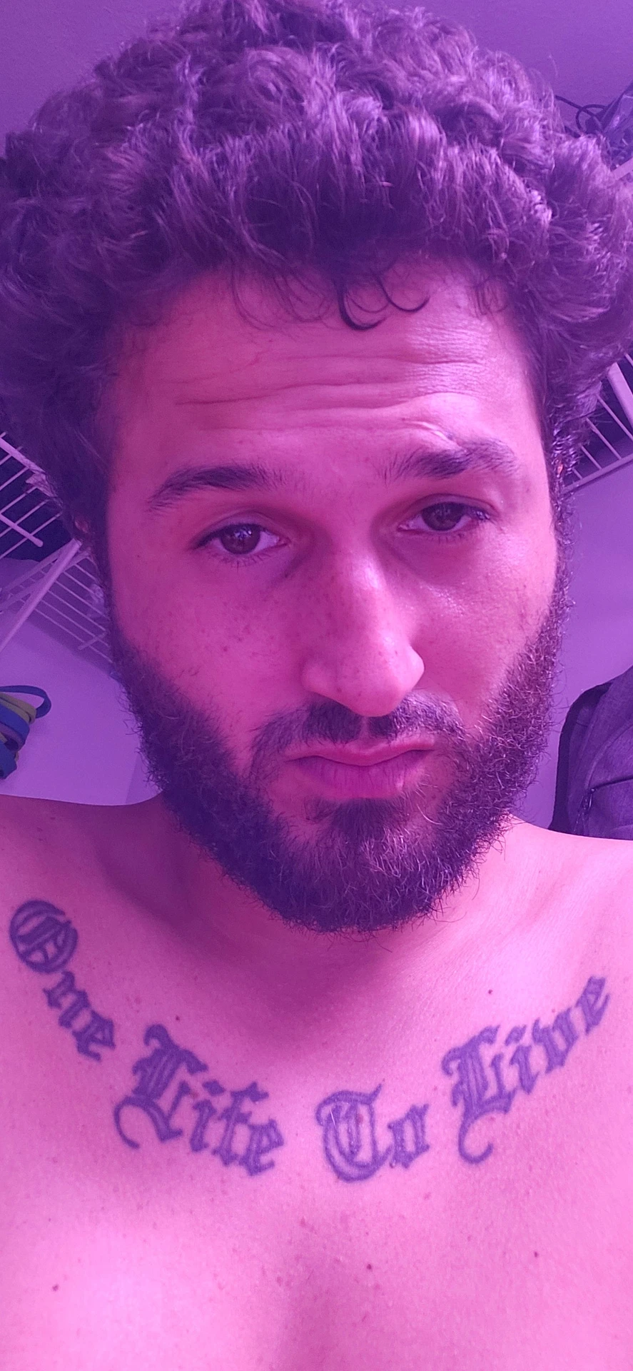Phill Pereira